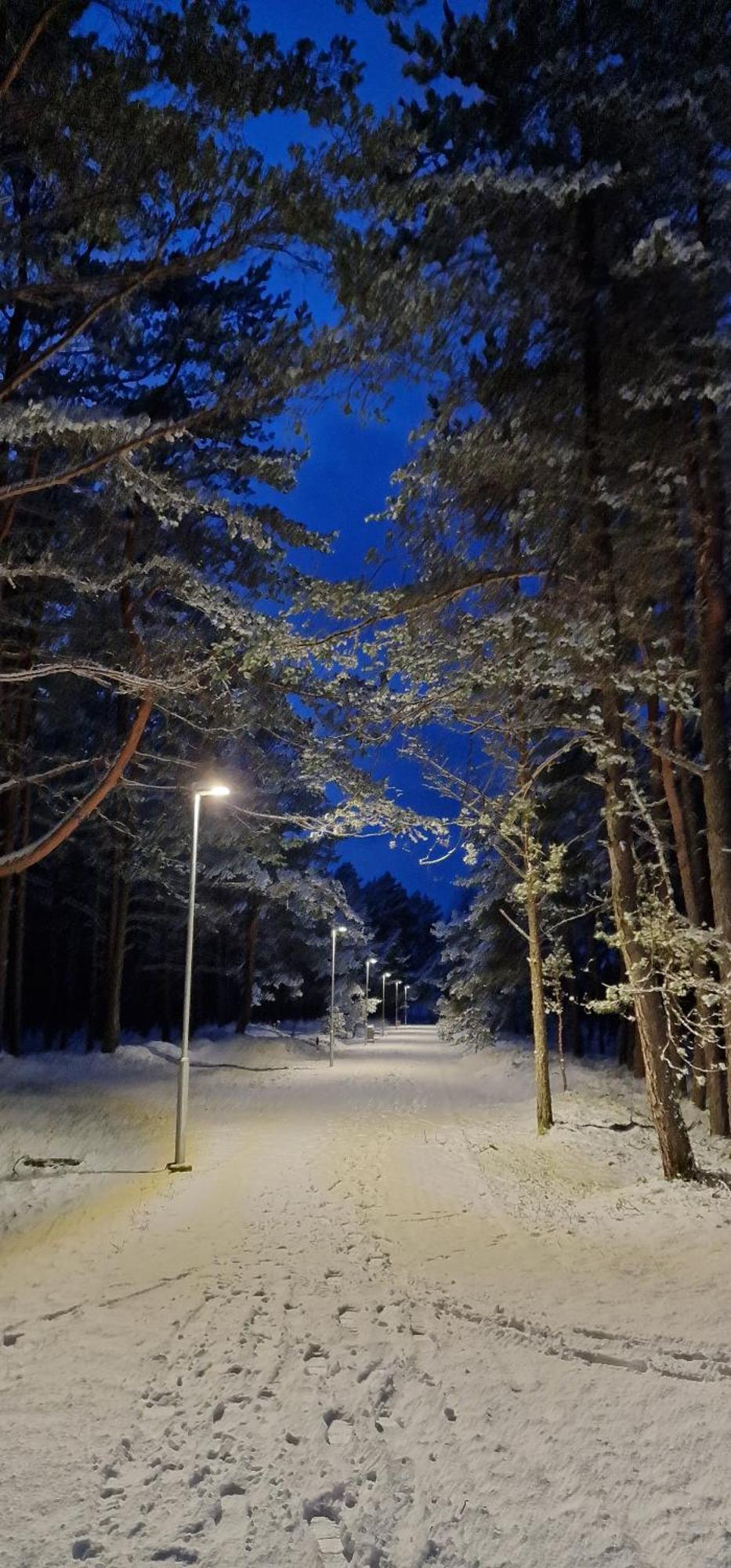 Rasos Vila Palanga Esterno foto